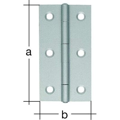 Gustav Alberts VA/60 mm Scharniere - Gerolltes Quadrat Edelstahl - Produkttyp Gustav Alberts VA/60 mm Scharniere - Gerolltes Quadrat Edelstahl - Produkttyp