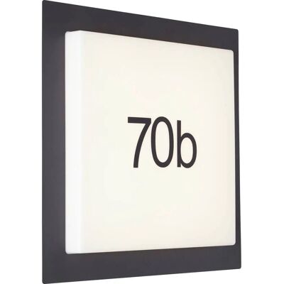 Brilliant G96503/75 Buiten Wandlamp LED RGB 14W Wit Zwart Brilliant G96503/75 Buiten Wandlamp LED RGB 14W Wit Zwart
