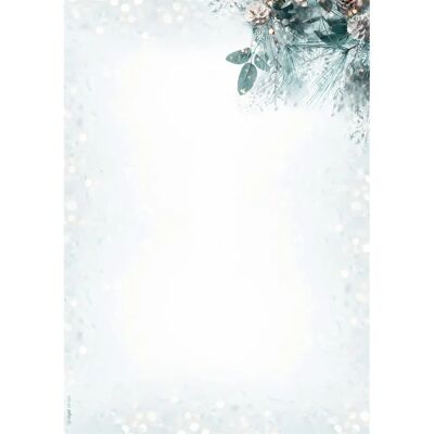 SIGEL Weihnachtsbriefpapier Eukalyptus magic A4 90 g/qm 100 Blatt SIGEL Weihnachtsbriefpapier Eukalyptus magic A4 90 g/qm 100 Blatt