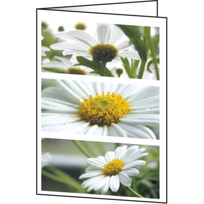 Sigel DC171 Motivkarte Romance - Glänzende A6 Glückwunschkarten Sigel DC171 Motivkarte Romance - Glänzende A6 Glückwunschkarten