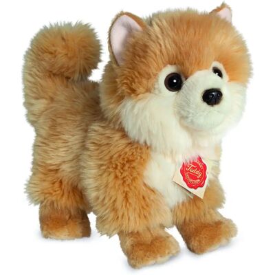 Hermann Teddy Zwergspitz - Pluszowa zabawka Hermann Teddy Zwergspitz - Pluszowa zabawka