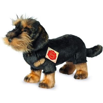 Peluches Teckel Hermann Teddy - 28cm - Réaliste, Sécurisé & Haute Qualité - Publicité Peluches Teckel Hermann Teddy - 28cm - Réaliste, Sécurisé & Haute Qualité - Publicité