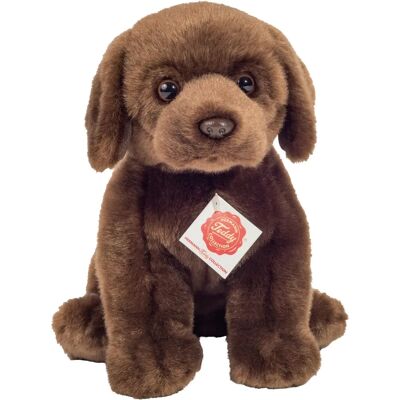 Cuccia di Hermann Teddy Labrador seduto - 25cm Cuccia di Hermann Teddy Labrador seduto - 25cm