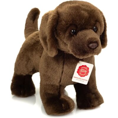 Hermann Teddy - Labrador - braun - stehend - Plüschfigur Hermann Teddy - Labrador - braun - stehend - Plüschfigur