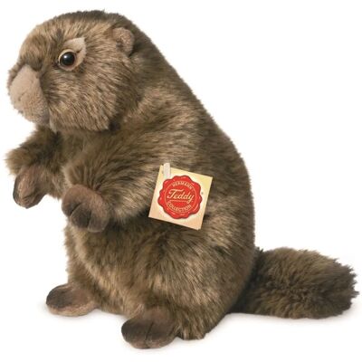 Hermann Teddy Marmotte 20cm - Doudou Hermann Teddy Marmotte 20cm - Doudou
