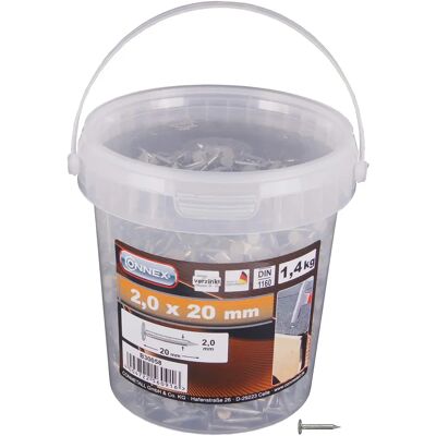 Connex spijkers voor karton, 2 x 20 mm, verzinkt - 1,4 kg Connex spijkers voor karton, 2 x 20 mm, verzinkt - 1,4 kg