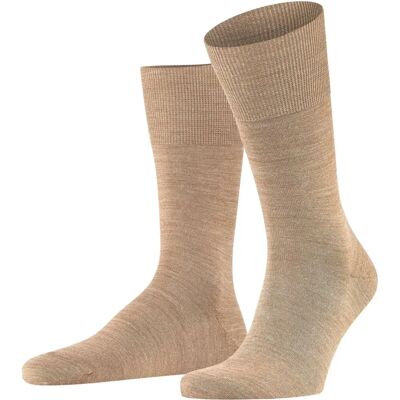 Falke Airport (14435) - noce mel Falke Airport (14435) - noce mel