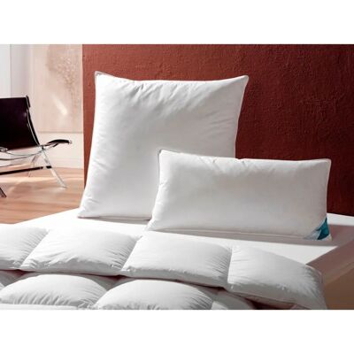 Häusling Federkissen Kuscheltraumkissen soft - Kopfkissen Häusling Federkissen Kuscheltraumkissen soft - Kopfkissen