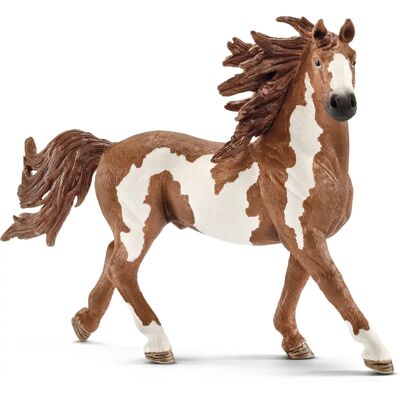 Schleich Pinto hřebec - Dětská hračka 3-8 let - Vzdělávací hra Schleich Pinto hřebec - Dětská hračka 3-8 let - Vzdělávací hra