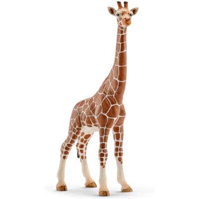 Girafă femelă Schleich Wild Life Jucărie - Colecționabilă și Realistă Girafă femelă Schleich Wild Life Jucărie - Colecționabilă și Realistă