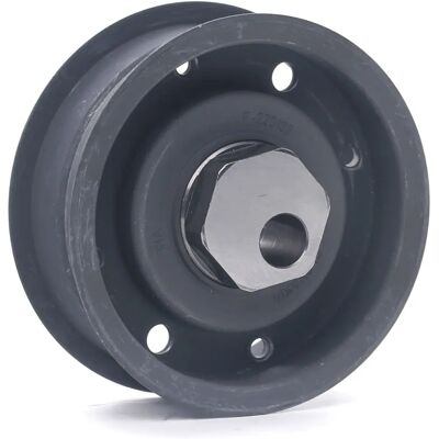 Τροχαλία τάσης ιμάντα χρονισμού INA - Timing Belt Tensioner Pulley Τροχαλία τάσης ιμάντα χρονισμού INA - Timing Belt Tensioner Pulley