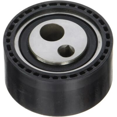 INA 531 0769 10 Puleggia tendicinghia - Puleggia tendicinghia per Peugeot e Citroën INA 531 0769 10 Puleggia tendicinghia - Puleggia tendicinghia per Peugeot e Citroën