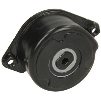 INA 534 0171 10 Tensionador de correia - Belt Tensioner INA 534 0171 10 Tensionador de correia - Belt Tensioner