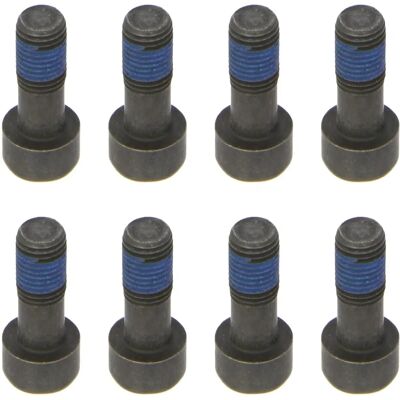 Set viti volano LuK 411 0132 11 Set viti volano LuK 411 0132 11