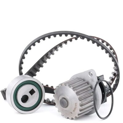 INA Water Pump & Timing Belt Kit - Water Pump & Timing Belt Kit INA Water Pump & Timing Belt Kit - Water Pump & Timing Belt Kit