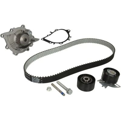 INA Pompă de apă și kit curea distribuție - Pompă de apă, Ford, Fiat, Peugeot, Land Rover, Jaguar INA Pompă de apă și kit curea distribuție - Pompă de apă, Ford, Fiat, Peugeot, Land Rover, Jaguar
