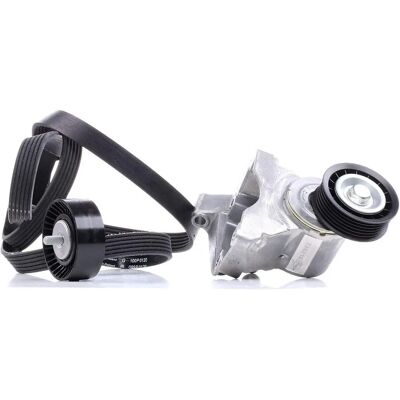 Kit cinghia distribuzione INA per Ford Focus - 6 Costole Kit cinghia distribuzione INA per Ford Focus - 6 Costole