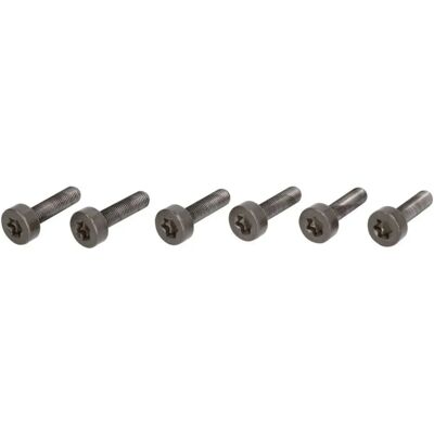 LuK 411 0247 10 Flywheel bolt sæt - Flywheel bolt sæt LuK 411 0247 10 Flywheel bolt sæt - Flywheel bolt sæt