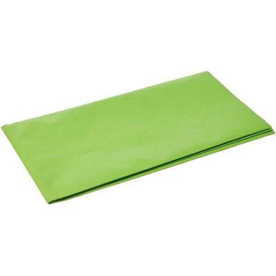 Papier de Soie Vert Clair 50x70cm Heyda - Papier de Soie Coloré - Publicité Papier de Soie Vert Clair 50x70cm Heyda - Papier de Soie Coloré - Publicité
