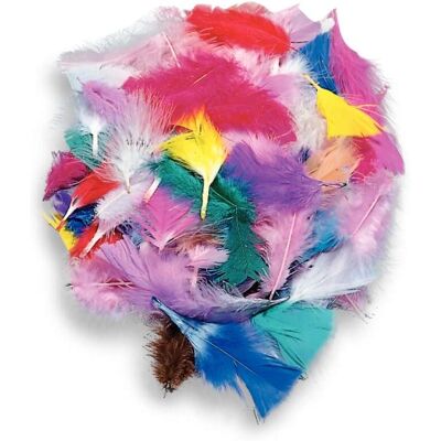 Heyda - Bastelfeder - Multicolore - 25g - Craft feathers mix - Publicité Heyda - Bastelfeder - Multicolore - 25g - Craft feathers mix - Publicité