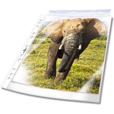 Durable A4 Dokumentmappar - 100 stycken transparenta Durable A4 Dokumentmappar - 100 stycken transparenta