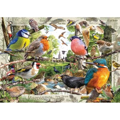 Ravensburger Our Feathered Friends 1000 Piece Jigsaw Puzzle - Puzzle Ravensburger Our Feathered Friends 1000 Piece Jigsaw Puzzle - Puzzle