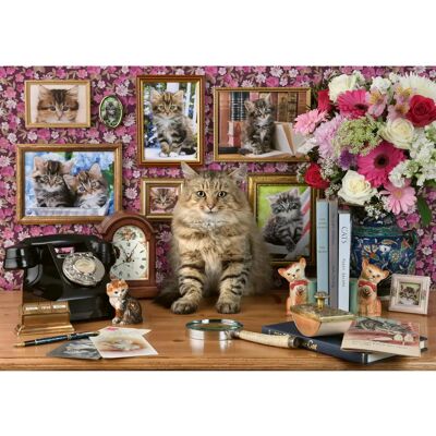 Puzzle Ravensburger 12000482 - Mes Chatons - Puzzle de 1000 pièces pour adultes et enfants 14+ - Chats Puzzle Ravensburger 12000482 - Mes Chatons - Puzzle de 1000 pièces pour adultes et enfants 14+ - Chats