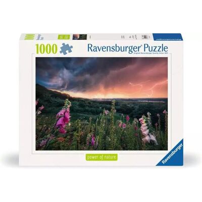 Ravensburger 12000793 Puzzle da 1000 pezzi - Paesaggio Ravensburger 12000793 Puzzle da 1000 pezzi - Paesaggio