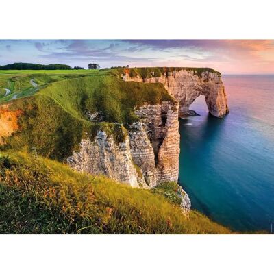Nathan Des racines et des ailes - Vue sur les falaises d'Etretat Nathan Des racines et des ailes - Vue sur les falaises d'Etretat