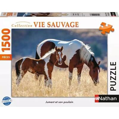 Rompecabezas Nathan 12000928 - 1500 Piezas Rompecabezas Nathan 12000928 - 1500 Piezas