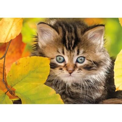 Nathan Chaton - Autunno Nathan Chaton - Autunno