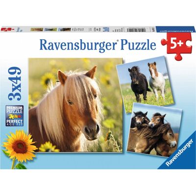 Ravensburger 4005556080113 Puzzle - Animaux - 49 pièces Ravensburger 4005556080113 Puzzle - Animaux - 49 pièces
