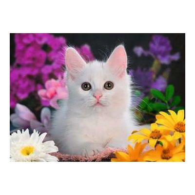 Ravensburger 13358 Puzzle Zvířata s Glitter - Puzzle pro Děti Ravensburger 13358 Puzzle Zvířata s Glitter - Puzzle pro Děti