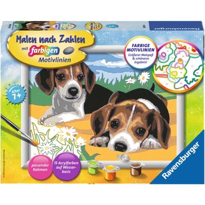 Ravensburger Számok szerint festő készlet, Jack Russell kölyök Ravensburger Számok szerint festő készlet, Jack Russell kölyök