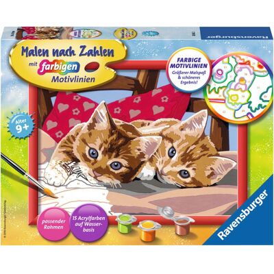 Kit di Dipingere con Numeri - Due Gattini Kit di Dipingere con Numeri - Due Gattini