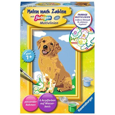 Ravensburger Kleiner Golden Retriever Malen nach Zahlen - Kreativspielzeug Ravensburger Kleiner Golden Retriever Malen nach Zahlen - Kreativspielzeug