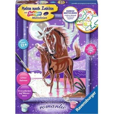 Ravensburger Számokkal Festő készlet - Oktató és Szórakoztató Ravensburger Számokkal Festő készlet - Oktató és Szórakoztató
