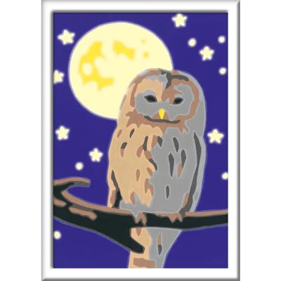 Ravensburger Peinture par Numéros - Hibou Multicolore avec Peinture Phosphorescente - Publicité Ravensburger Peinture par Numéros - Hibou Multicolore avec Peinture Phosphorescente - Publicité