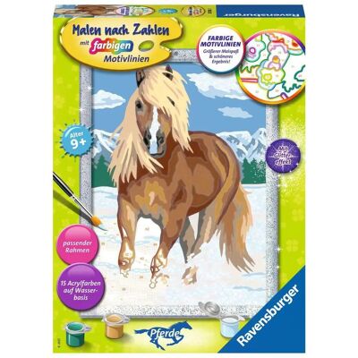 Ravensburger Modell 28780 - Malen nach Zahlen Kit Ravensburger Modell 28780 - Malen nach Zahlen Kit
