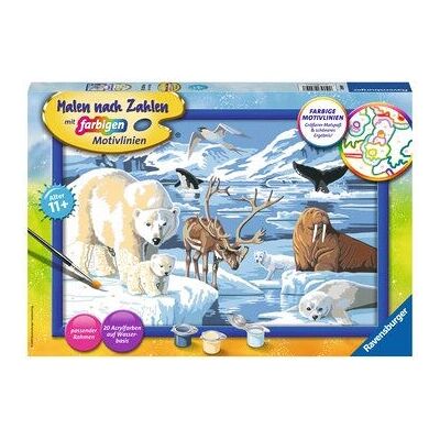 Ravensburger Tiere der Arktis Malen nach Zahlen - Kreatives Bastelset Ravensburger Tiere der Arktis Malen nach Zahlen - Kreatives Bastelset