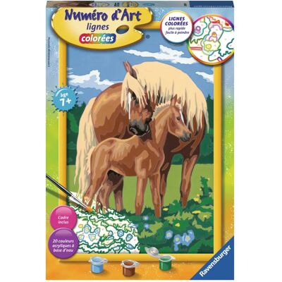 Ravensburger Jeu de Peinture par Numéros - Chevaux - Peinture par Numéros Ravensburger Jeu de Peinture par Numéros - Chevaux - Peinture par Numéros