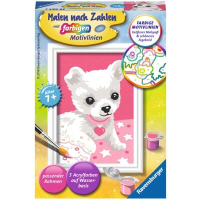 Ravensburger 4005556296842 Malen nach Zahlen Set - Kinder ab 7 - Mehrfarbig Ravensburger 4005556296842 Malen nach Zahlen Set - Kinder ab 7 - Mehrfarbig