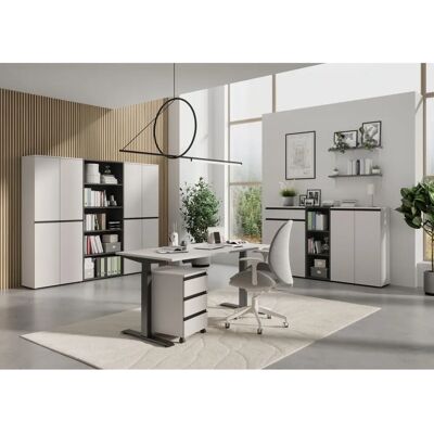 Germania Bedano Büroschrank - 2 verstellbare Regale Germania Bedano Büroschrank - 2 verstellbare Regale