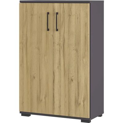 GERMANIA Aktenschrank - Modernes Büro-Speicher GERMANIA Aktenschrank - Modernes Büro-Speicher