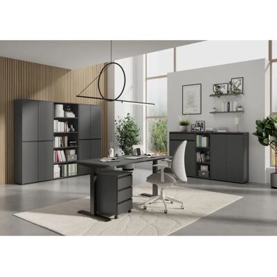 Germania Höhenverstellbarer Schreibtisch - 140x80cm, Grau Germania Höhenverstellbarer Schreibtisch - 140x80cm, Grau