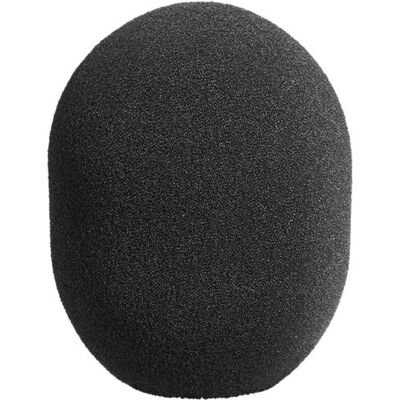 Neumann WS 2 Paravento per TLM 102/193 - Protezione Microfono Neumann WS 2 Paravento per TLM 102/193 - Protezione Microfono