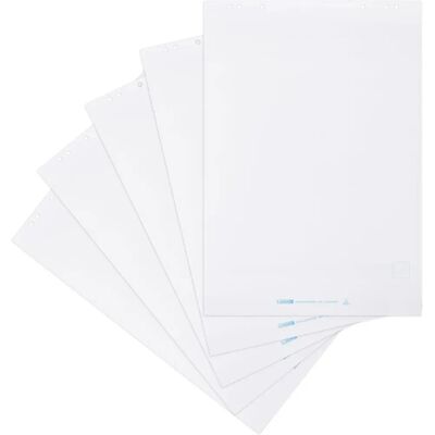 Landré Landré Papier Flipchart, leer, 20 Blatt, 5 Stück - Flipchartblock Landré Landré Papier Flipchart, leer, 20 Blatt, 5 Stück - Flipchartblock