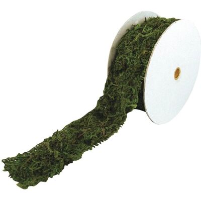 Rayher Hobby Model - Groen viltband - Knutselband Rayher Hobby Model - Groen viltband - Knutselband