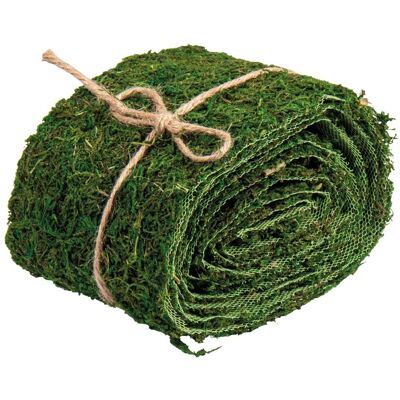 Rayher Green Moss Ribbon - 2m Decorative Craft Accessory Rayher Green Moss Ribbon - 2m Decorative Craft Accessory