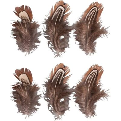 Rayher Modèle Plume de Cerf Marron - Plumes - Publicité Rayher Modèle Plume de Cerf Marron - Plumes - Publicité